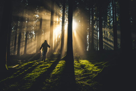 De kunst van offline zijn: Wat wandelen in de natuur met je doet